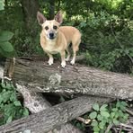 Greg Oldaker - Facebook
