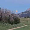 gregortega7407 - @gregortega7407 - TikTok