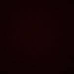 Greg Ostertag - @greg_ostertag - Instagram
