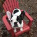 Greg Overby - Facebook