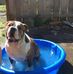 Greg Overby - Facebook