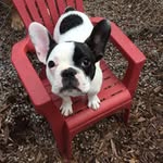 Greg Overby - @overby.greg - Instagram