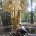 Gregorio Pacheco - Facebook