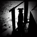 Greg Palumbo - @palumbogs - Instagram