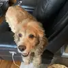 Greg Puccio - @greg_puccio - TikTok