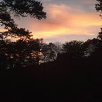 Greg Partin - @partingreg - Instagram