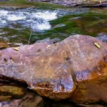 Greg Patch - @gregpatch1453 - Instagram