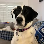 Greg Paulson - @oacomian113 - Instagram