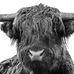 Greg Paulson - Facebook