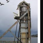 Greg Pedersen Nilsen - @greggis_nilsen - Instagram