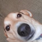 Greg Spence - @greg.spence.greg.spence - Instagram