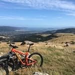 Greg Spence - @greg.spence - Instagram