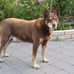 Greg Penney - Facebook