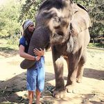 Greg Peter Shewring - @gregshewring - Instagram