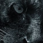 Greg Petty - @gregpetty541 - Instagram