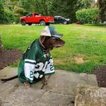 Greg Pfister - @kodycooldog - Instagram