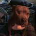 Greg Pickard - Facebook