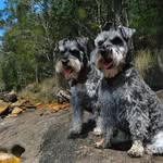 Greg Pickering - @greg.pickering7568 - Instagram