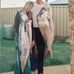 Gregory Pickering - Facebook