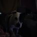 Greg Pierce - Facebook