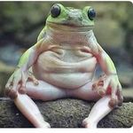 Greg Pike - @supertradesman - Instagram