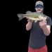 Gregory Plante - Facebook