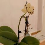 je vais vous etonné - @greg_la_plante - Instagram