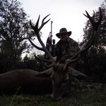 Greg Platt - @opus134 - Instagram