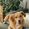 Gregor MC Poland - @gregor.mc.poland - TikTok
