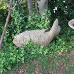 Gregory Polley - @polley_greg - Instagram