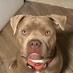 Greg Poole - @biggregpoole - Instagram