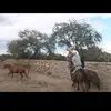 gregorioprado10 - @gregorioprado10 - TikTok