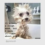 Greg Prather - @prather_greg - Instagram