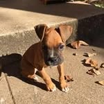 Greg Puckett - @puckett_greg - Instagram