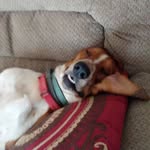 Greg Puckett - @gregpuckett1 - Instagram
