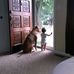 Greg Qualls - Facebook