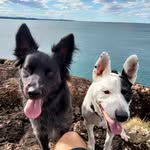 Greg Race - @greg.race.72 - Instagram