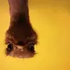 gregrace1 - @gregrace1 - TikTok