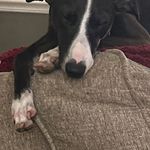 Greg Radford - @radford6548 - Instagram