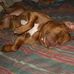 Greg Ramos - Facebook