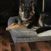 Greg Rankin - @greg.rankin - TikTok