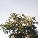 greg rasp - @gregrasp - Instagram