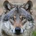 Greg Rout - Facebook