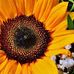 Greg Reeder - Facebook