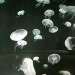 greg reeder - @adventuresofmeestergreg - Instagram