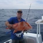 Greg Rees - @greg.rees.9 - Instagram
