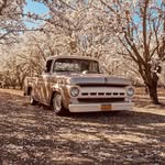 Greg Reichmuth Jr. - @greg.reichmuthjr - Instagram