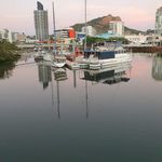 Greg Reilly - @gregoryreilly - Instagram