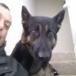Greg Ritchie - @greg.ritchie.739 - Instagram