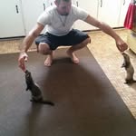 Greg Ritchie - @greg.ritchie.56 - Instagram